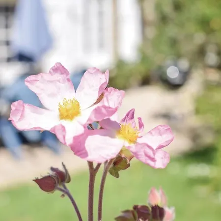 度假居 Beautiful In St Pierre Langers *