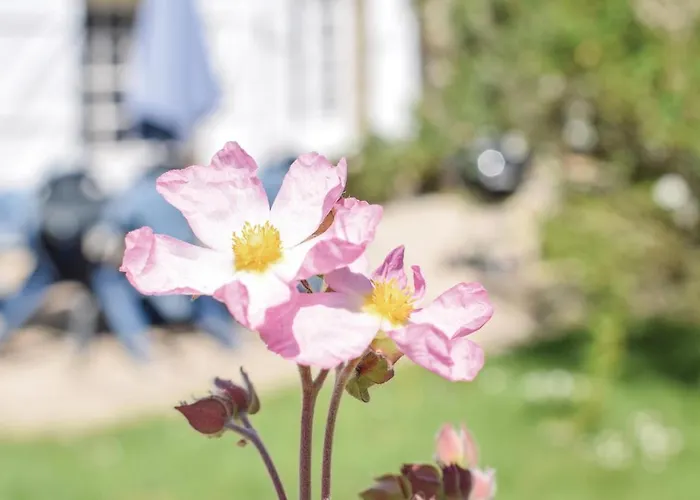 Holiday home Beautiful In St Pierre Langers *