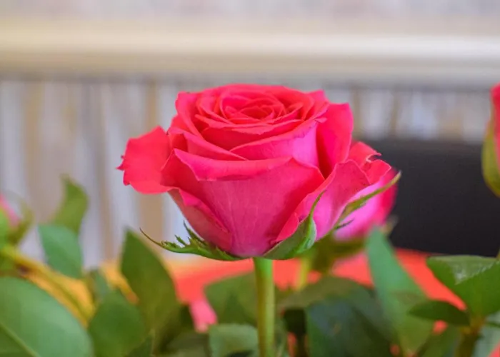 Holiday home Beautiful In St Pierre Langers